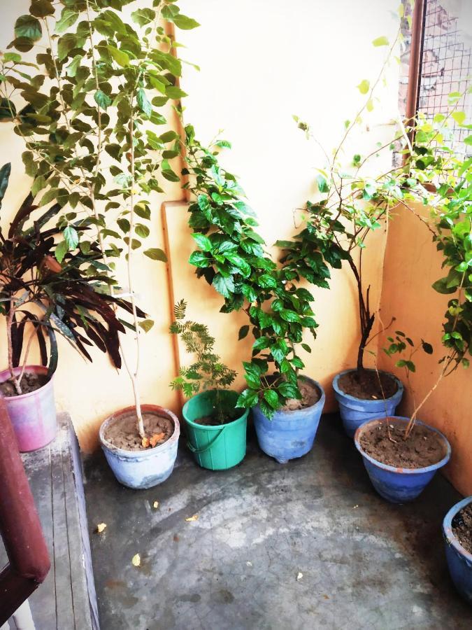 Family Guest House Varanasi Exterior foto